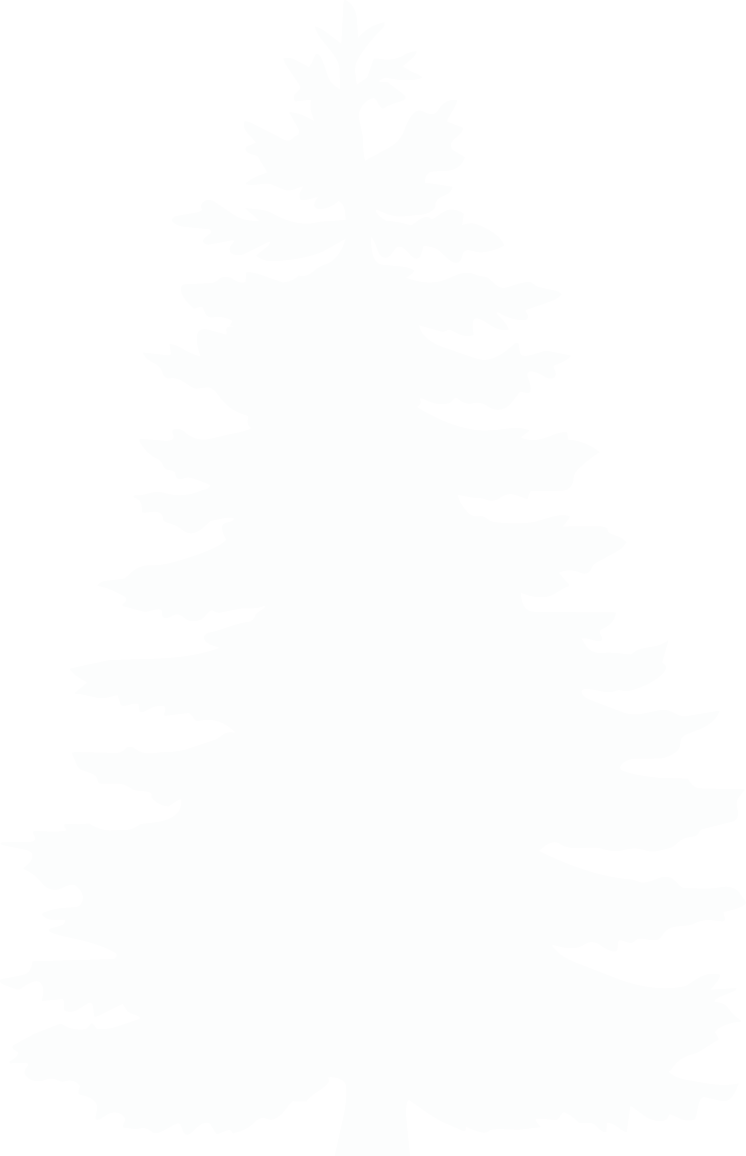 Pine Systems